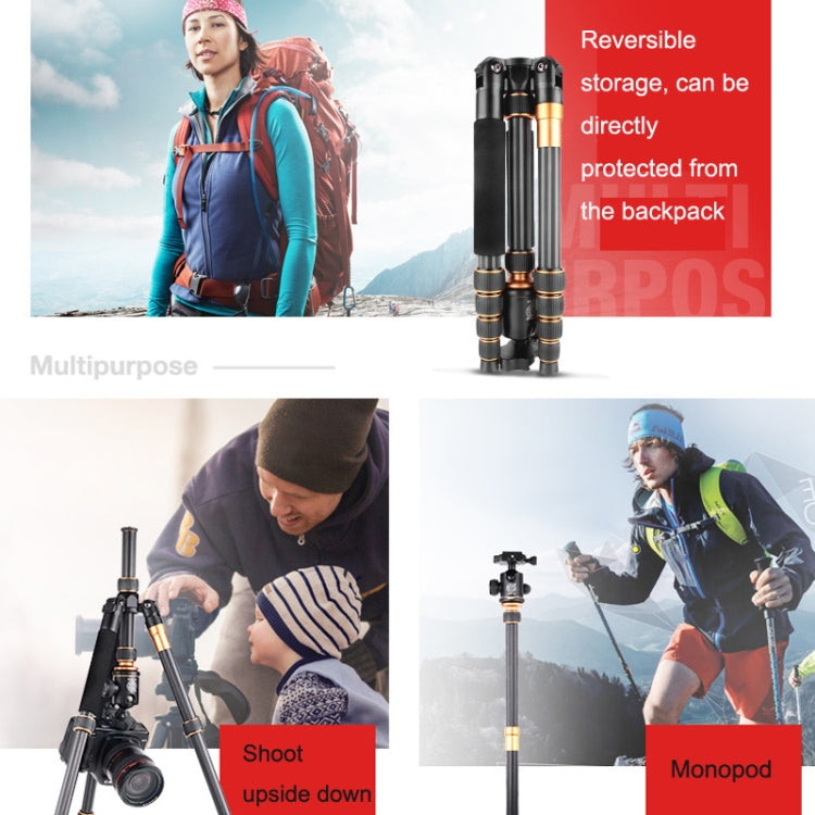 QingZhuangShiDai Q666C Portable Travel Photography Ball Head SLR Camera Carbon Fiber Tripod(Black) - free shipping - PMC Jewellery - Order now!
