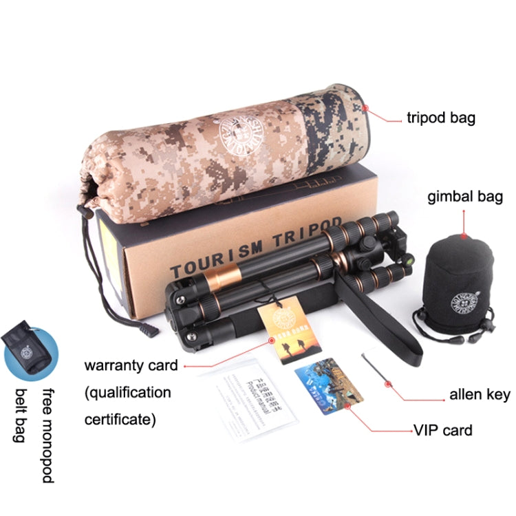 QingZhuangShiDai Q666C Portable Travel Photography Ball Head SLR Camera Carbon Fiber Tripod(Black) - free shipping - PMC Jewellery - Order now!