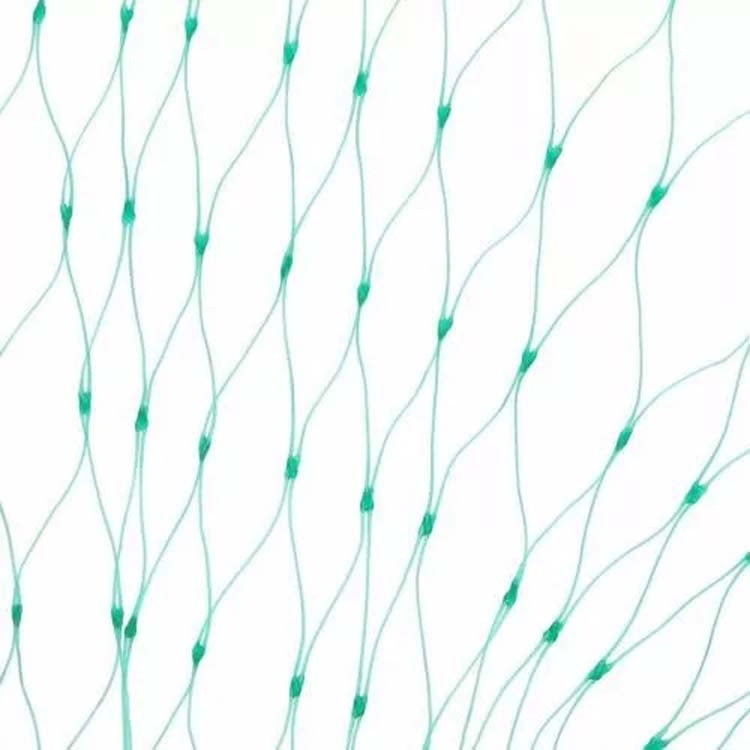 2Mx10M Anti Bird Protection Net Mesh Garden Plant Netting Protect Plants and Fruit