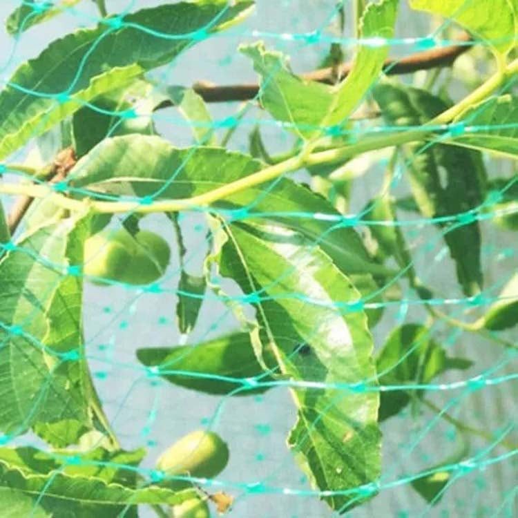 2Mx10M Anti Bird Protection Net Mesh Garden Plant Netting Protect Plants and Fruit