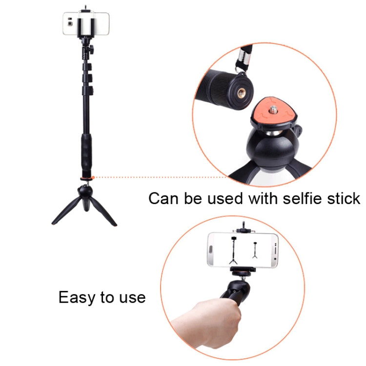 YUNTENG 228 Mini Tripod Camera Desktop Live Bracket Mobile Phone Selfie Frame(Black) - free shipping - PMC Jewellery - Order now!