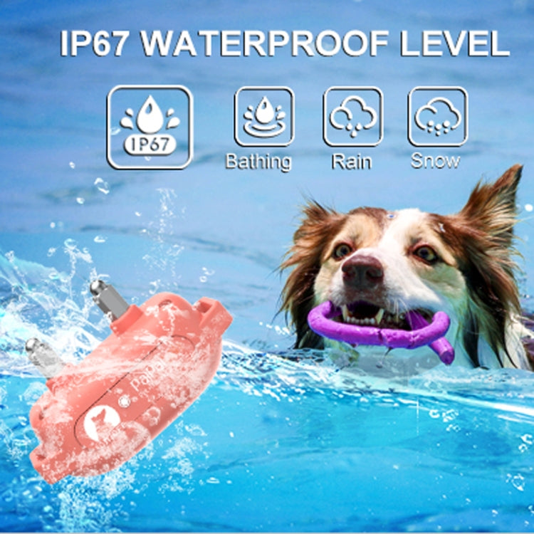 PaiPaitek PD523 1000m Remote Control Rechargeable Waterproof Dog Trainer - free shipping - PMC Jewellery - Order now!