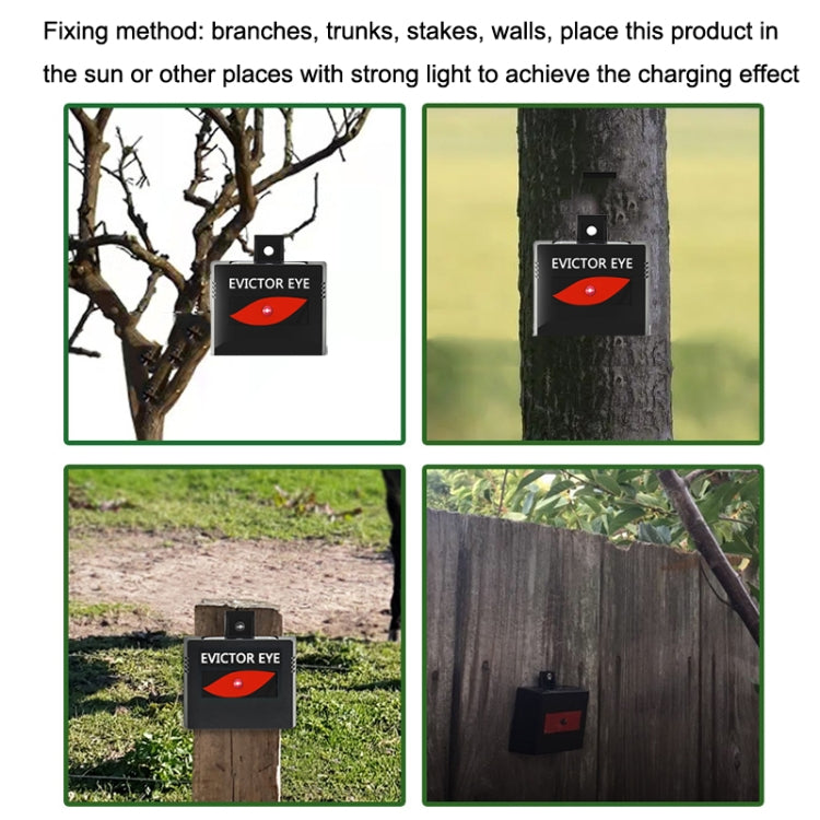 SK191 1pc Solar Farm Wild Eagle Eye Animal Repeller - Outdoor Insect Repellent by PMC TechLife | Online Shopping South Africa | PMC TechLife | Buy Now Pay Later Mobicred