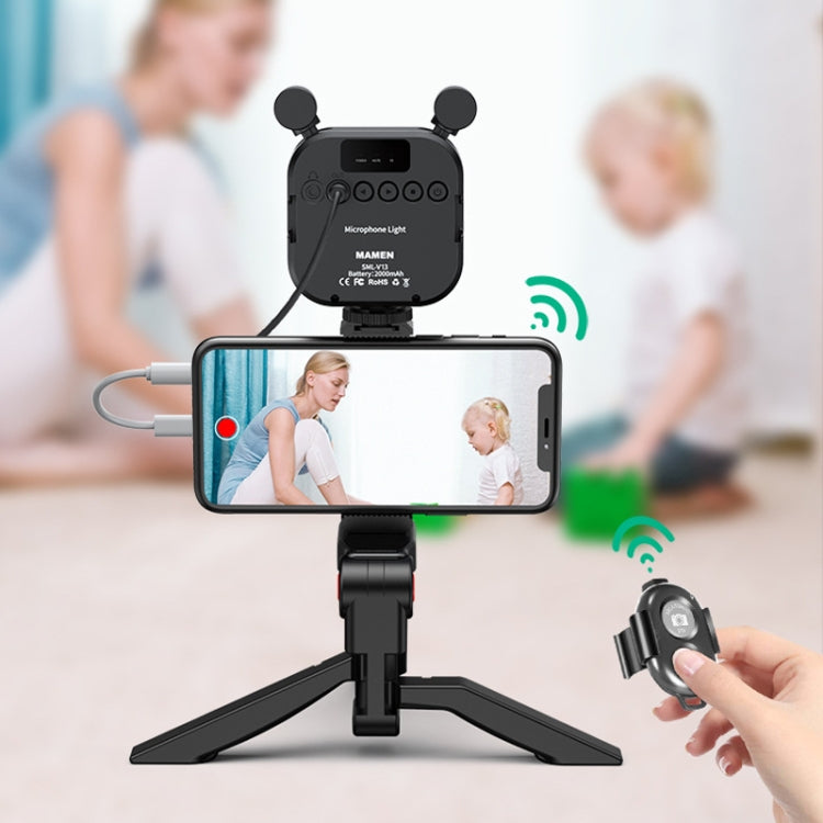 KIT-11LM Tripod Fill Light With Microphone Vlogging Kit For Live Phone Recording(Black) - Stand by PMC TechLife | Online Shopping South Africa | PMC TechLife | Buy Now Pay Later Mobicred
