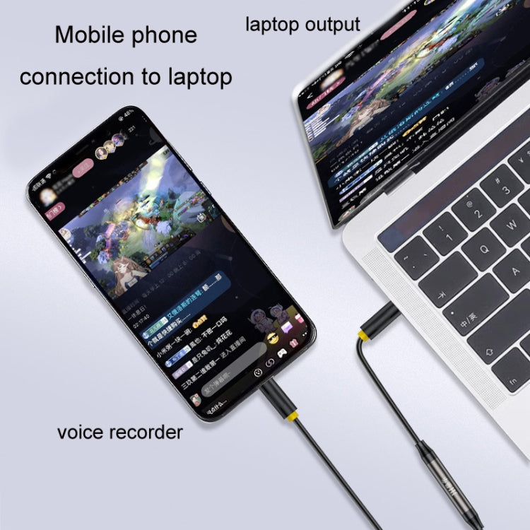 1m JINGHUA 3.5mm Cable Audio Conversion Microphone Two-way Transcriber - Audio Adapter by JINGHUA | Online Shopping South Africa | PMC Jewellery | Buy Now Pay Later Mobicred