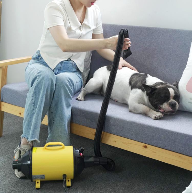 2100W Dog Dryer Stepless Speed Pet Hair Blaster With Vacuum Cleaner 220V UK Plug(Black Blue) - free shipping - PMC TechLife - Order now!