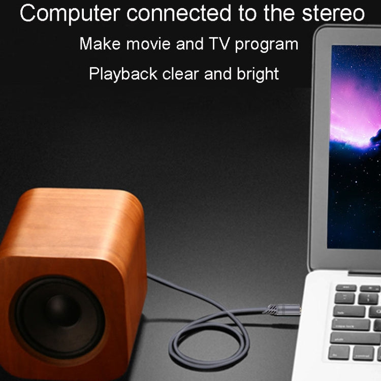 JINGHUA A240 3.5mm Male To Male Audio Cable Cell Phone Car Stereo Microphone Connection Wire, Size: 30m(Gray) - Microphone Audio Cable & Connector by JINGHUA | Online Shopping South Africa | PMC TechLife | Buy Now Pay Later Mobicred