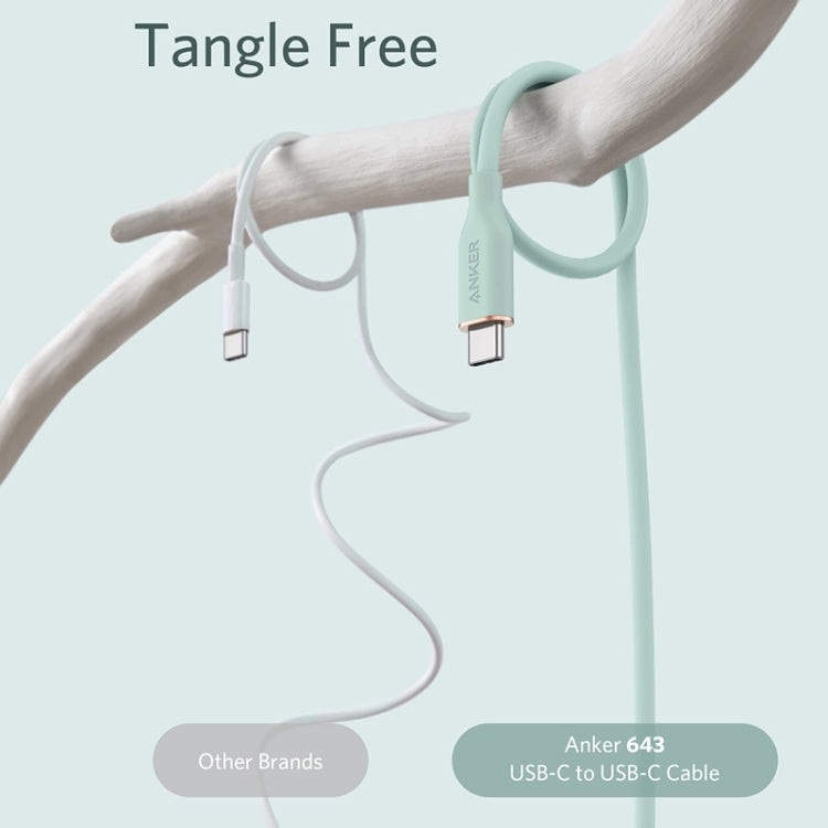ANKER A8553 Powerline III 1.8m Skin Friendly Dual Type-C Data Cable PD100W Fast Charging Cable(Mint Green) - USB-C & Type-C Cable by ANKER | Online Shopping South Africa | PMC Jewellery | Buy Now Pay Later Mobicred