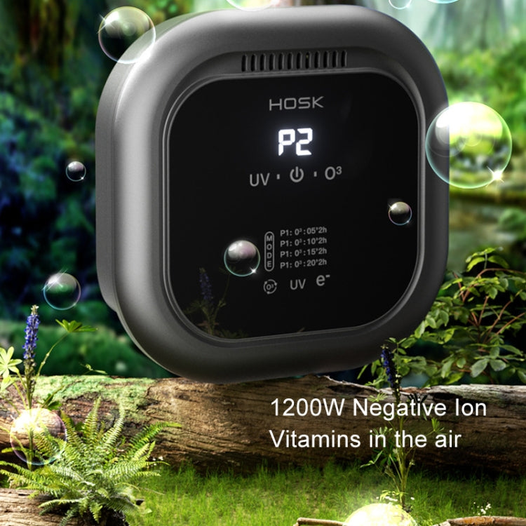 HOSK XT-01 UV Pet Air Purifier Household Deodorant Ozone Generator, Size: Charging(Black)
