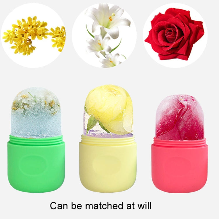 Beauty Capsule Tool Facial Massage Cleansing Silicone Compress Ice Compartment Mold(Purple Green) - free shipping - PMC Jewellery - Order now!
