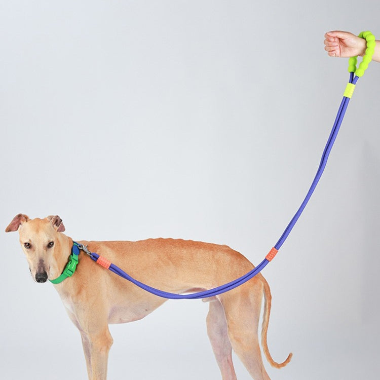 Explosion-Proof Two-Stage Dog Leash With Foam Handle For Medium And Large Dogs(Black Currant)