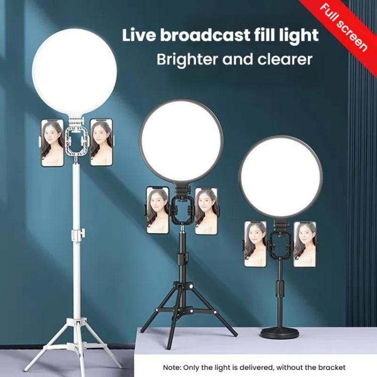 TBD06058832_B8.jpg@d89d4e8caf3fbccf822f106ee2d9370e