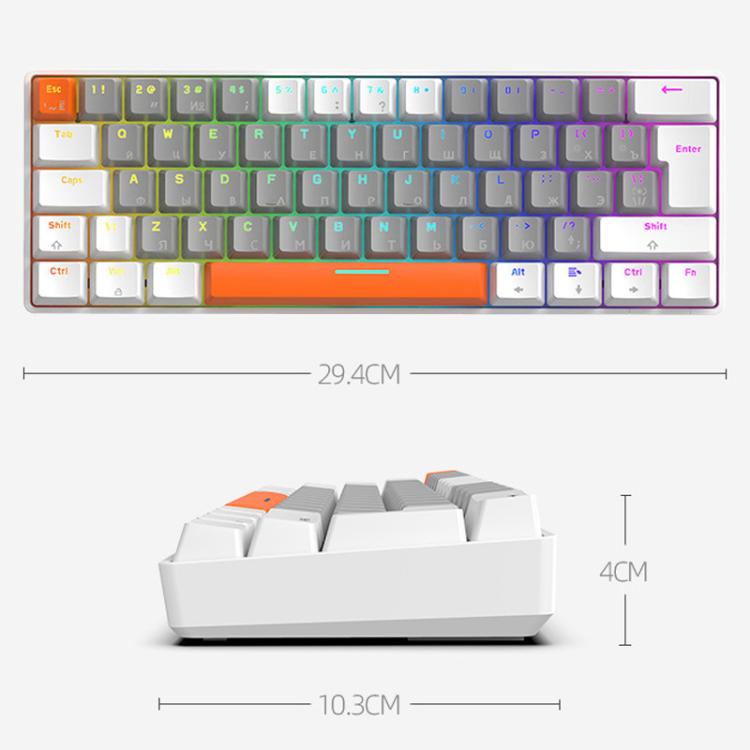 TBD06065420_B7.jpg@176ea2c3d77a3b4d0e7eb1e00e449ea8