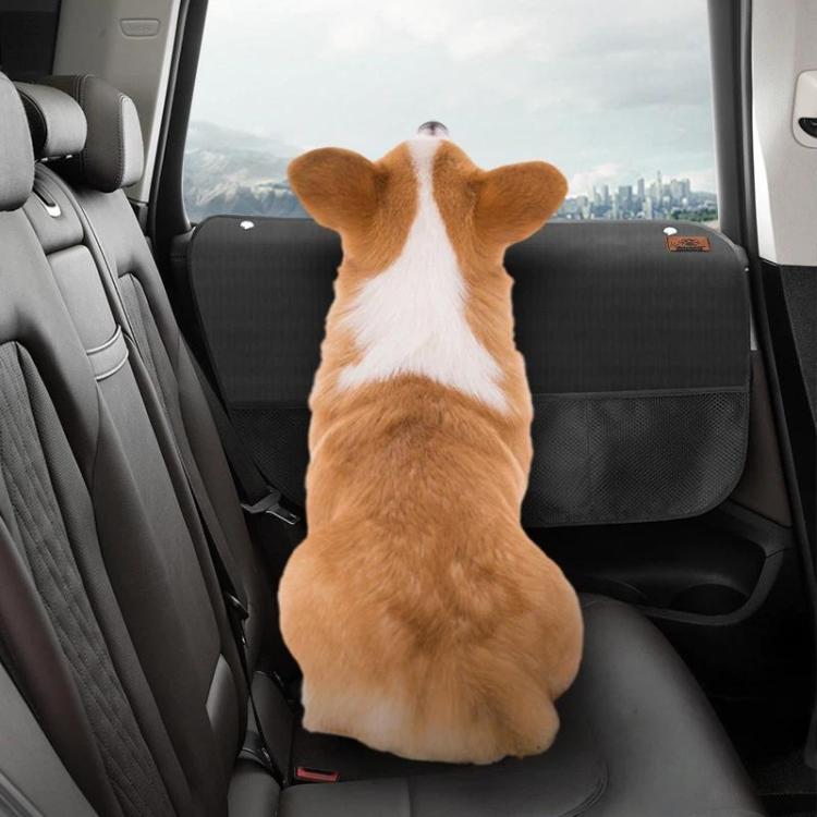 TBD06065803_B6.jpg@e9eb1edfe3daa508691c0b6d8b268195