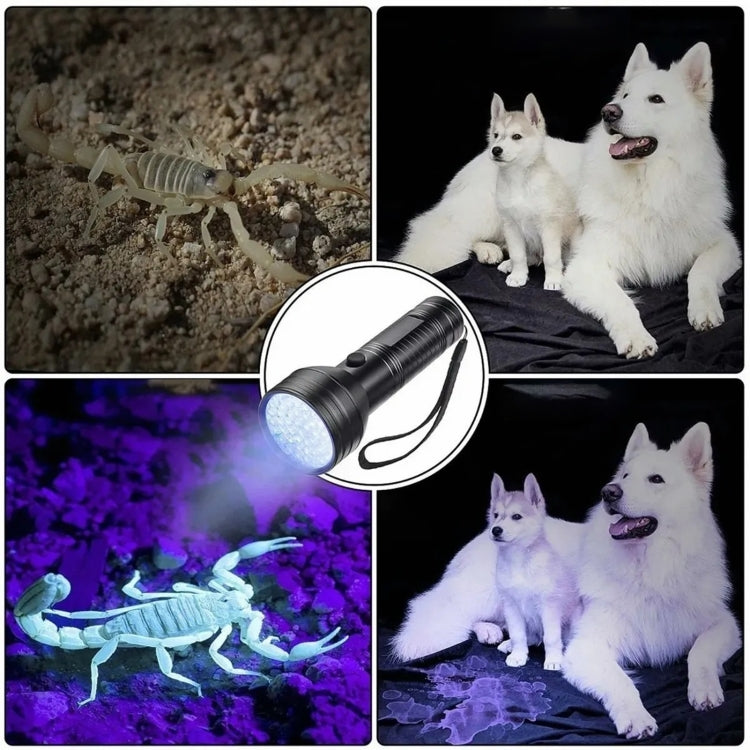 51 LEDs 395nm UV LED Flashlight, Support Detect Pet Urine - LED Flashlight by YWX LIGHT | Online Shopping South Africa | PMC TechLife | Buy Now Pay Later Mobicred