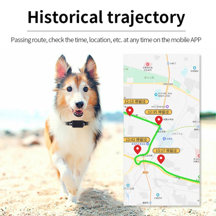 P03 2G Waterproof Pet GPS Tracker GPS+AGPS+WiFi+LBS Locator - Pet Tracker by PMC Jewellery | Online Shopping South Africa | PMC Jewellery | Buy Now Pay Later Mobicred