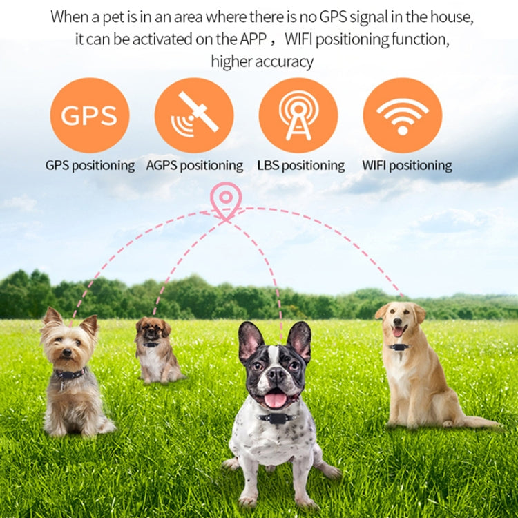 P03 2G Waterproof Pet GPS Tracker GPS+AGPS+WiFi+LBS Locator - Pet Tracker by PMC Jewellery | Online Shopping South Africa | PMC Jewellery | Buy Now Pay Later Mobicred