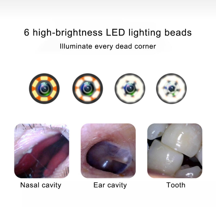1MP HD Visual Ear Nose Tooth Endoscope Borescope with 6 LEDs, Lens Diameter: 3.9mm(Silver)