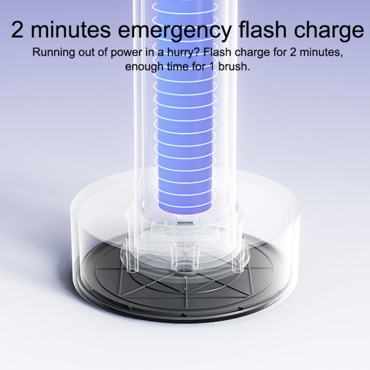Original Xiaomi Mijia Sonic Electric Toothbrush T302(Black)