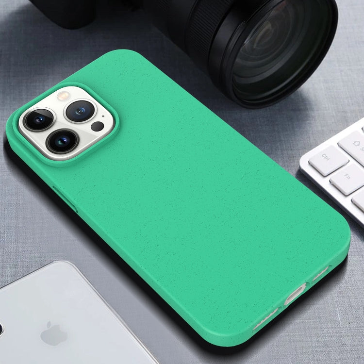 For iPhone 15 Pro TPU Shockproof Phone Case(Blue)