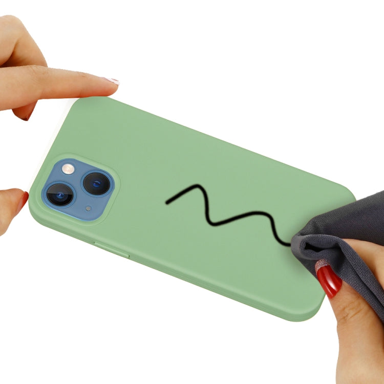 For iPhone 15 Plus Solid Color Silicone Phone Case(Mint Green)