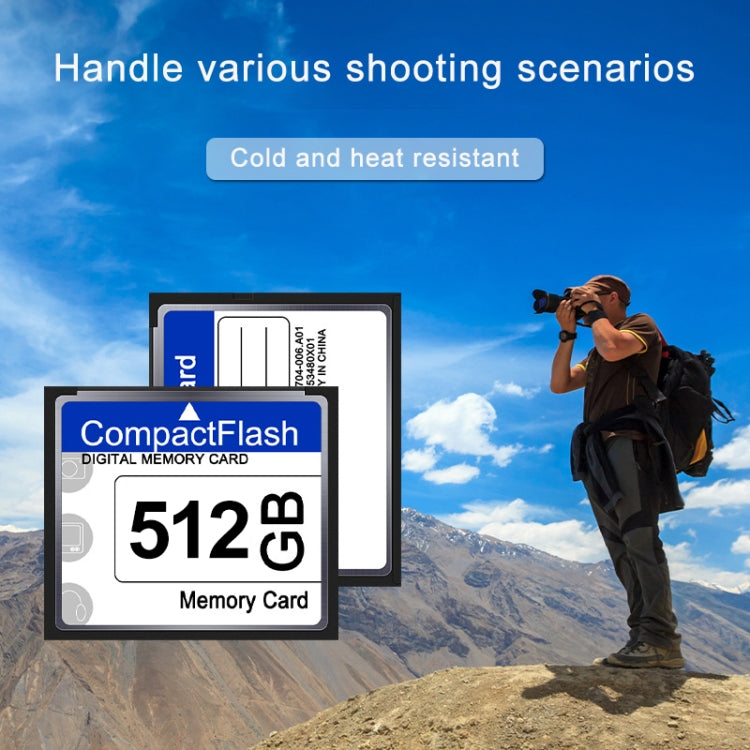 512MB Compact Flash Card - CF Card by PMC Jewellery | Online Shopping South Africa | PMC Jewellery | Buy Now Pay Later Mobicred