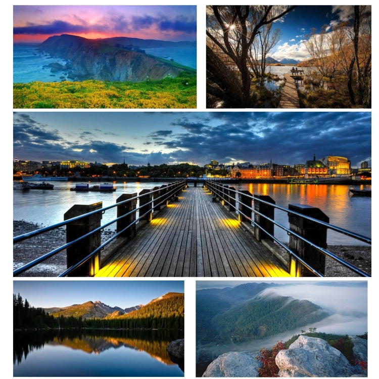 Table Portable Tripod Stand for Digital Cameras, Max Height: 120mm(Black) - Tripods by PMC TechLife | Online Shopping South Africa | PMC TechLife