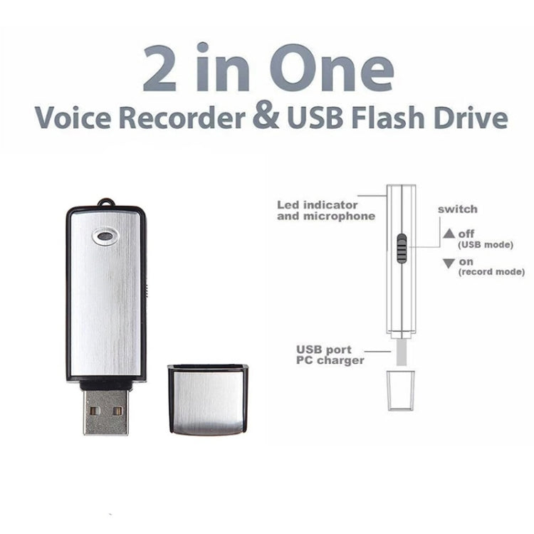USB Voice Recorder + 8GB USB Flash Disk(Black) - free shipping - PMC Jewellery - Order now!