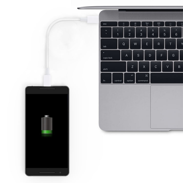 USB-C / Type-C to USB-C / Type-C PD Fast Charging & Sync Data Cable, Cable Length: 14cm(White) - USB-C & Type-C Cable by PMC TechLife | Online Shopping South Africa | PMC TechLife
