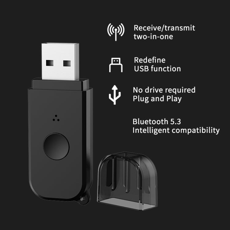 H210 Bluetooth 5.3 Audio Receiver Transmitter 2 in 1 AUX+USB Dual Output - Audio Receiver Transmitter by PMC TechLife | Online Shopping South Africa | PMC TechLife