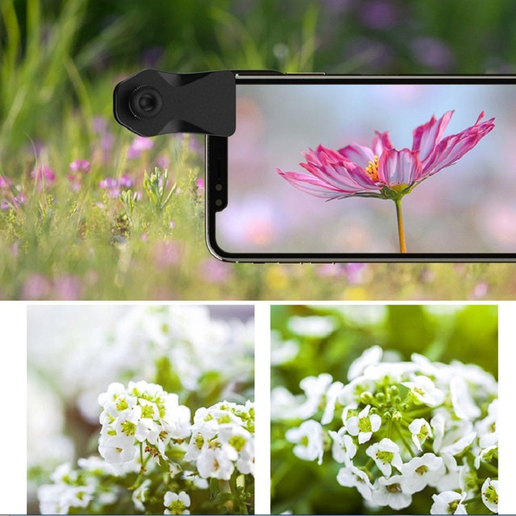 APEXEL APL-DG11 11 in 1 Multifunctional Fisheye Wide-angle Macro Polarized Starlight Gradient Filter Set Universal Mobile Phone Lens Set - free shipping - PMC Jewellery - Order now!