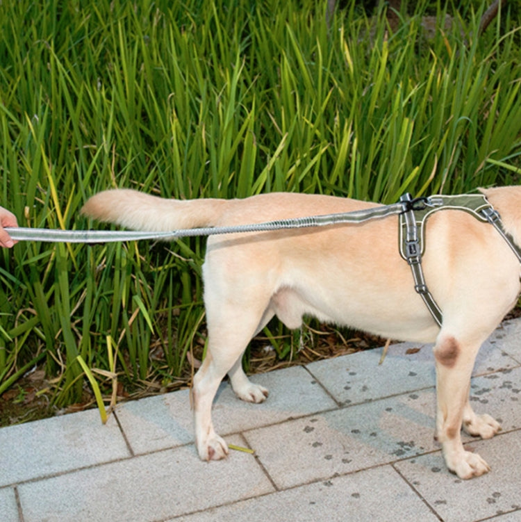 Dog Outdoor Anti-Scourge Traction Rope Nylon Reflective Elastic Stretch Dog Walking Rope( Green) - free shipping - PMC TechLife - Order now!