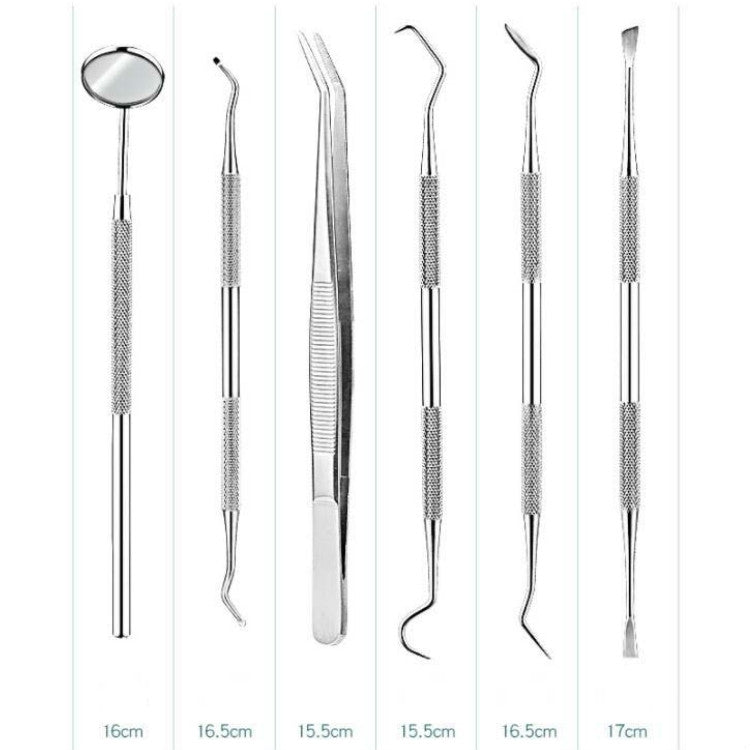 5 in 1 Silver Box Stainless Steel Dental Tools Dental Care Tartar Tool Dentist Tool Set