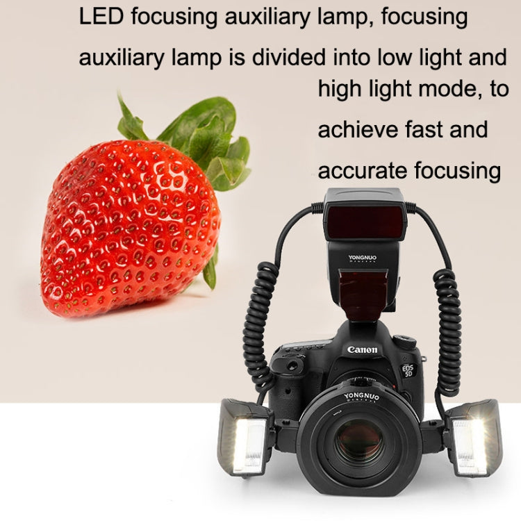 For Canon TTL Oral Insect Insect Teeth Ring Light YONGNUO YN24EX Macro Ring Flash Speedlite(Black) - free shipping - PMC Jewellery - Order now!