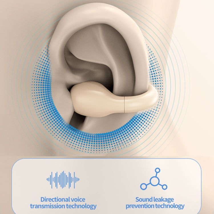 M10 IPX5 Water-resistant Ear Clip Bluetooth Earphones, Style: Doble Skin Color