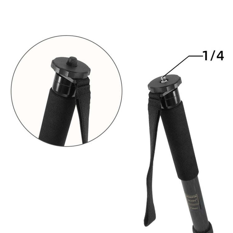 10pcs BEXIN G-02 Camera 1/4-inch Screw Protection Cap for Tripod Monopod Screw - free shipping - PMC Jewellery - Order now!