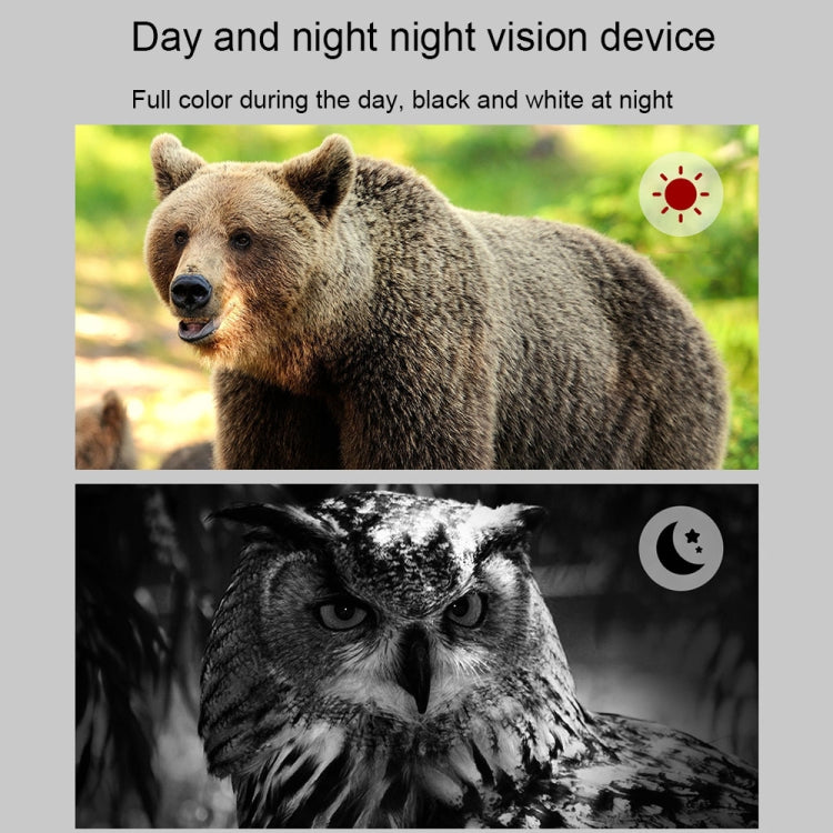 APEXEL 3-inch LCD HD Screen Photo Video Portable Binoculars Digital Infrared Night Vision Device(APL-NV009) - free shipping - PMC Jewellery - Order now!