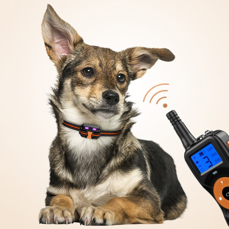 Smart Electronic Remote Control Dog Training Device Water-resistant Pets Bark Stopper, Size: For-Two-Dog(Orange)