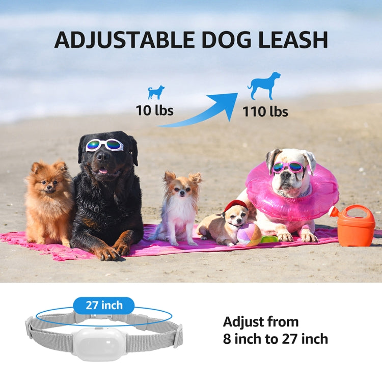 Smart Waterproof Shock Collar For Pets Remote Control Dog Training Device, Size: For-Two-Dog(Black) - free shipping - PMC Jewellery - Order now!