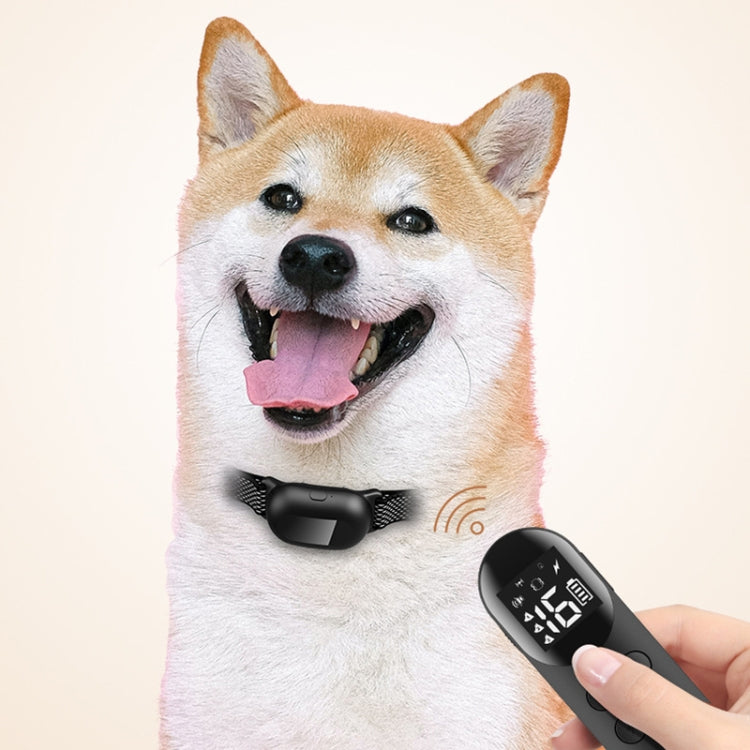 Smart Waterproof Shock Collar For Pets Remote Control Dog Training Device, Size: For-Two-Dog(Black) - free shipping - PMC Jewellery - Order now!