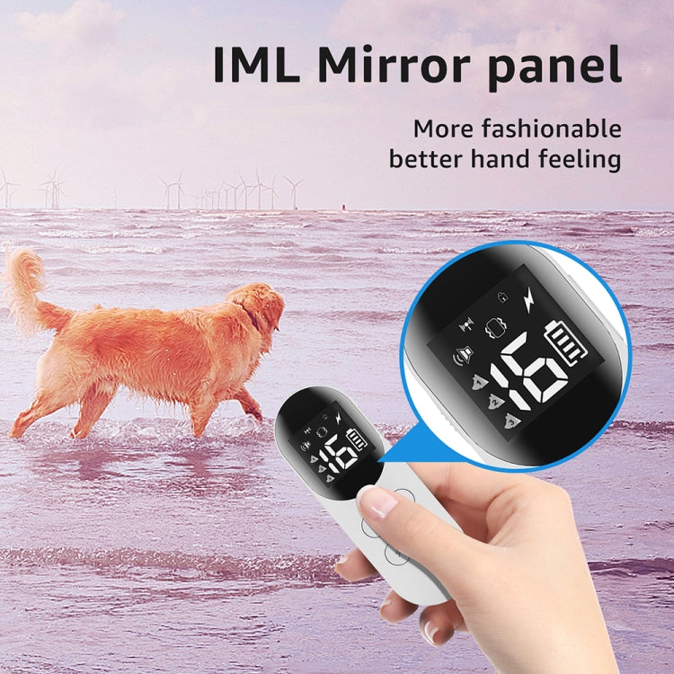 Smart Waterproof Shock Collar For Pets Remote Control Dog Training Device, Size: For-Two-Dog(Black) - free shipping - PMC Jewellery - Order now!