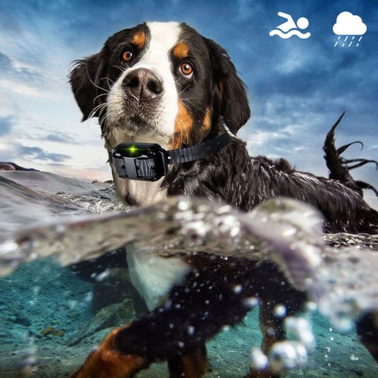 800m Remote Control Stop Barker Dog Trainer Smart Anti-Disturbance Vibration Collar, Specification: With 3 Collars - Training Aids by PMC Jewellery | Online Shopping South Africa | PMC Jewellery | Buy Now Pay Later Mobicred