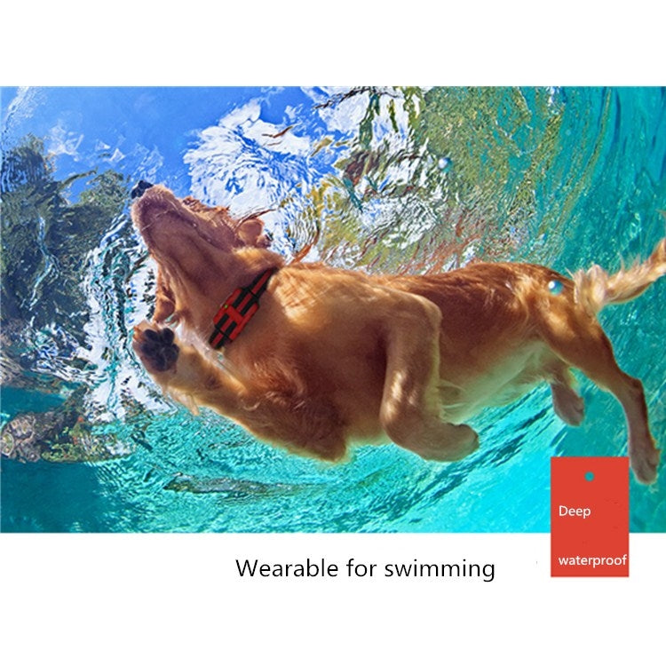 500m Dog Training Bark Stopper Remote Control Electric Shock Water-resistant Electronic Collar(Orange)