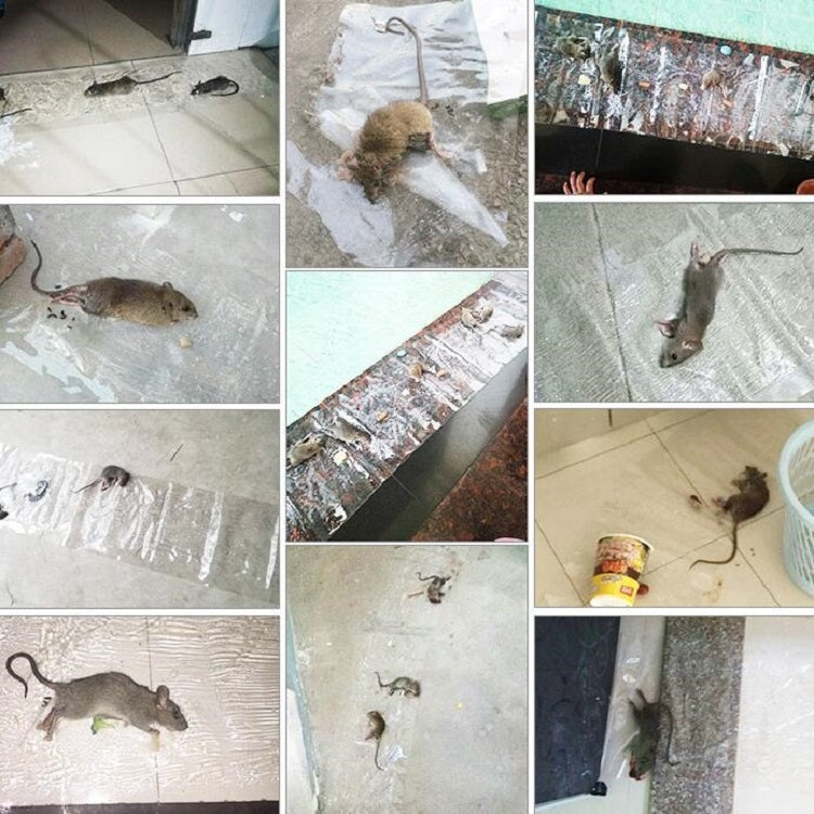 Anti-rodent Strong Sticky Board Transparent Sticky Mouse with Mousetrap Glue - free shipping - PMC Jewellery - Order now!