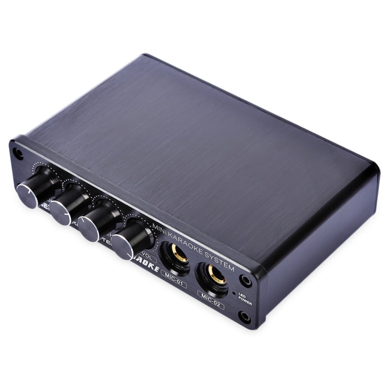 A933 Mini Karaoke Machine System Sound Mixer Amplifier for PC / TV / Mobile Phones, Support RCA in / 2 Channel Mic in(Black)