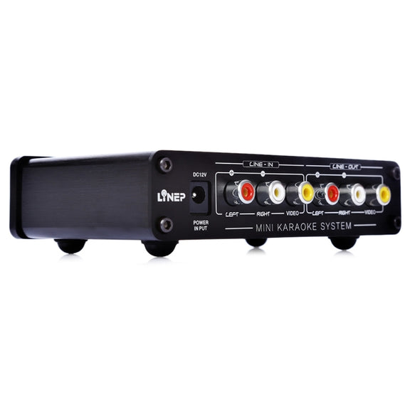 A933 Mini Karaoke Machine System Sound Mixer Amplifier for PC / TV / Mobile Phones, Support RCA in / 2 Channel Mic in(Black)