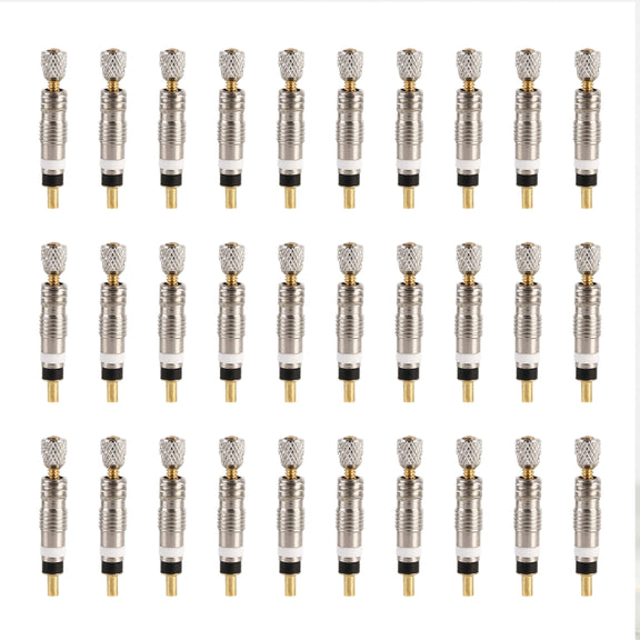 30 PCS VT-002 Bicycle Detachable French Valve Core Style: Reticulated