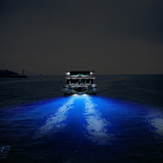 2 PCS MK-027 Ship / Yacht 10-30V 27LEDs Water-resistant Stainless Steel Underwater Light(Blue Light)