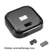 XJ-008 Car Negative Ion USB Air Purifier, Smart Version (Black)