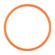 DCA0156.jpg@0c553d1f9f7229f021b9255cbdee9476